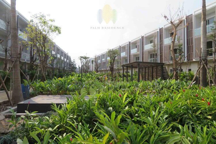 palm residences