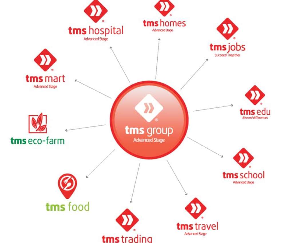 linh vuc hoat dong tms group