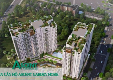 ascent garden home